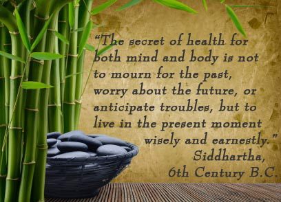 The secret of health for both mind and body is not to mourn for the past, worry about the future, or anticipate troubles, but to live in the present moment wisely and earnestly. -Siddhartha, 6th Century B.C.