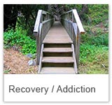 Recovery/Addiction